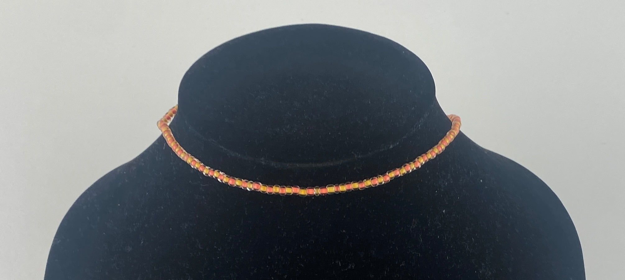 Saffron Coral