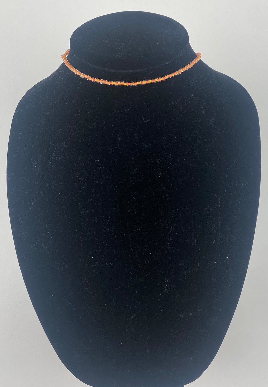 Saffron Coral