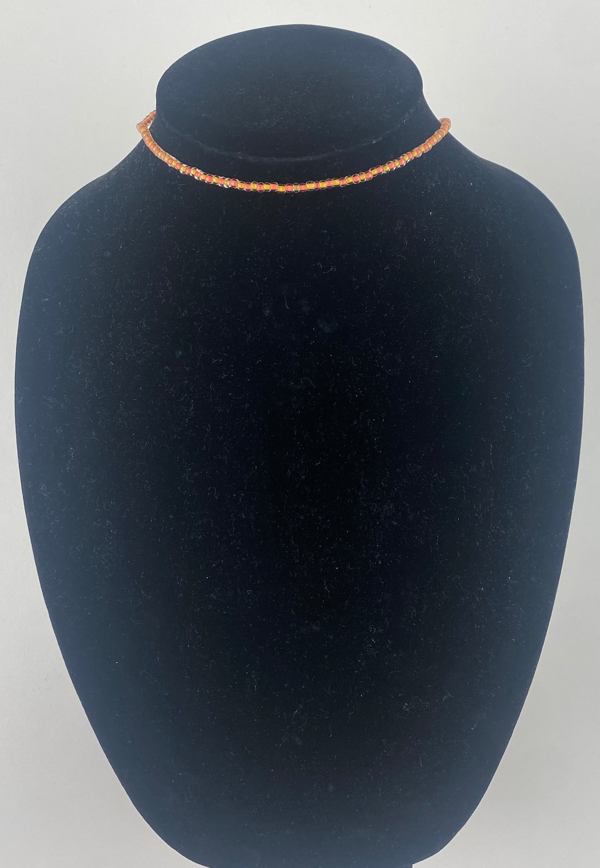 Saffron Coral